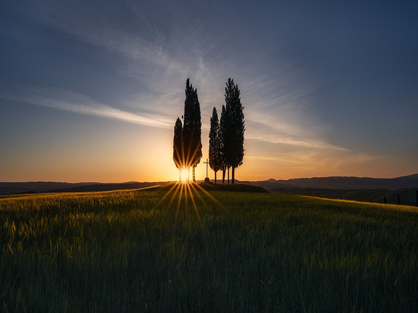 Baccoleno - forest - Limited Edition Fine Art Print