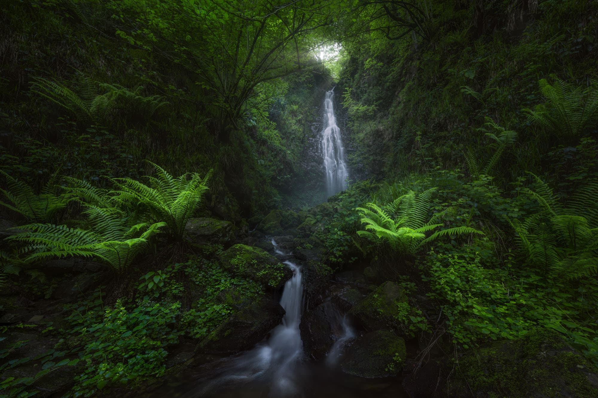 Mystic Waterfall - North Spain - waterfalls - Limited Edition Fine Art Print